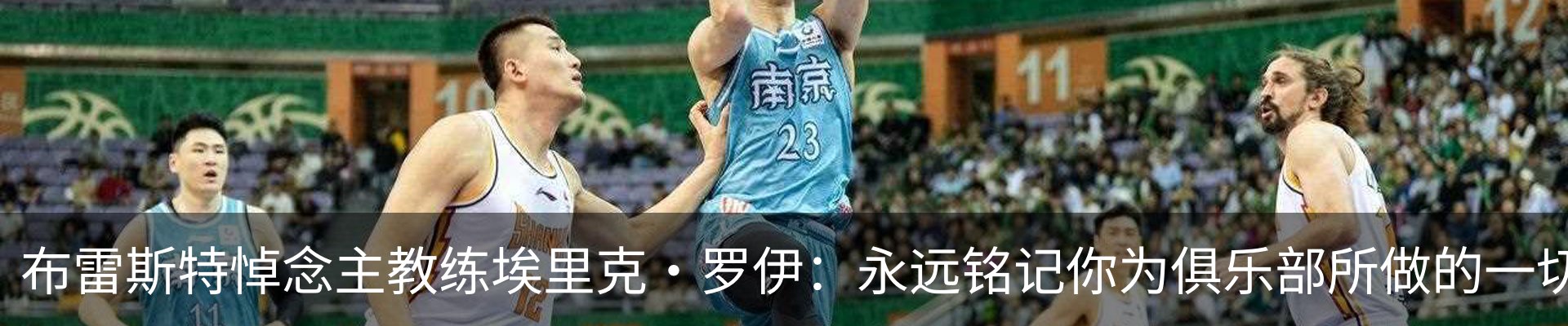 最新动态